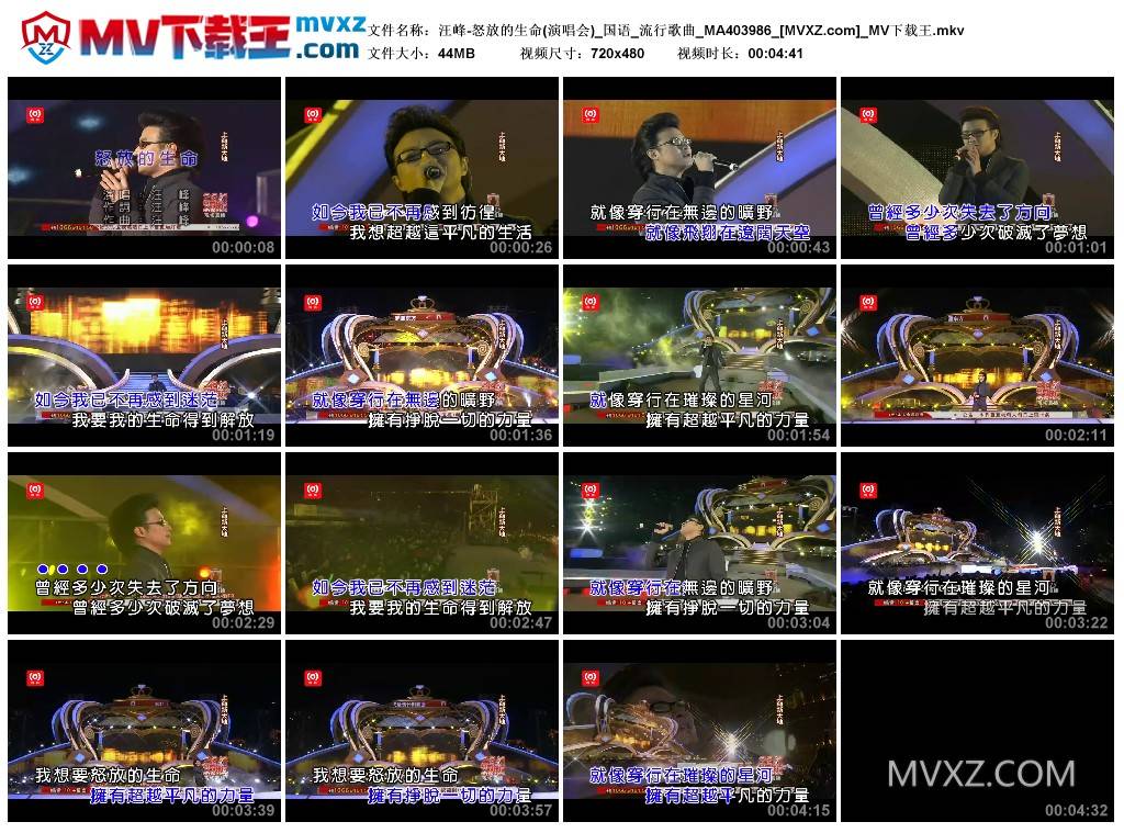 汪峰-怒放的生命(演唱会)_国语_流行歌曲_MA403986